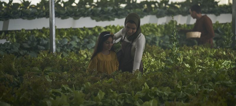 Urban Farms